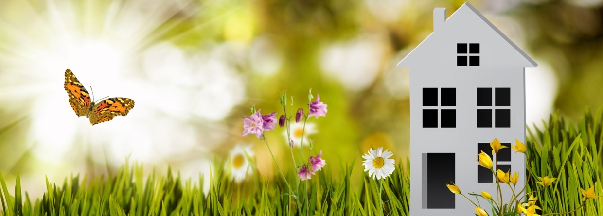 #D afbeelding van een huis in een natuur landschap met gras, bloemen, de zon en een vlinder